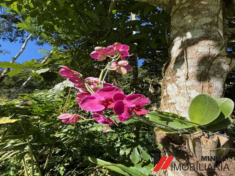 MRImóveis vende lindo Sitio na Serra do Piloto em Mangaraiba. 