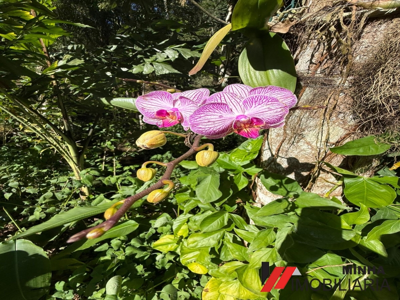 MRImóveis vende lindo Sitio na Serra do Piloto em Mangaraiba. 