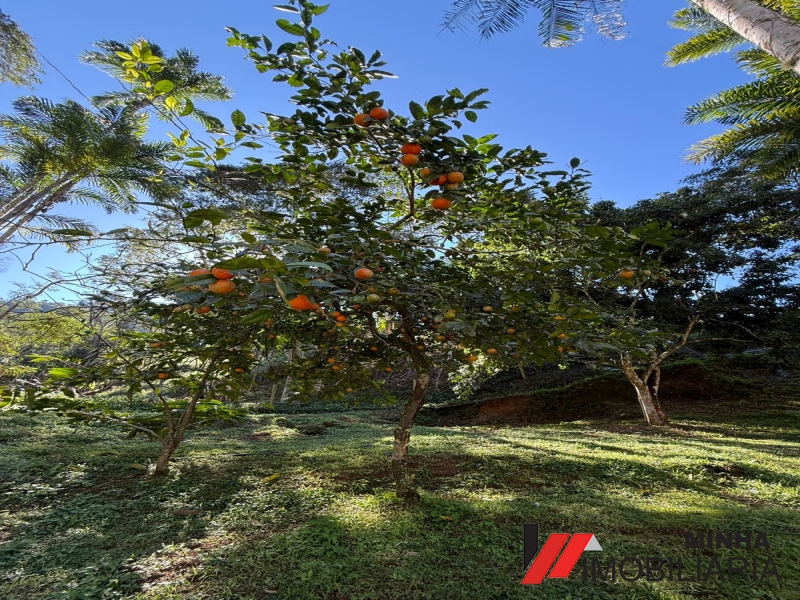 MRImóveis vende lindo Sitio na Serra do Piloto em Mangaraiba. 