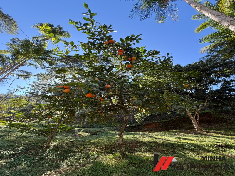 MRImóveis vende lindo Sitio na Serra do Piloto em Mangaraiba. 